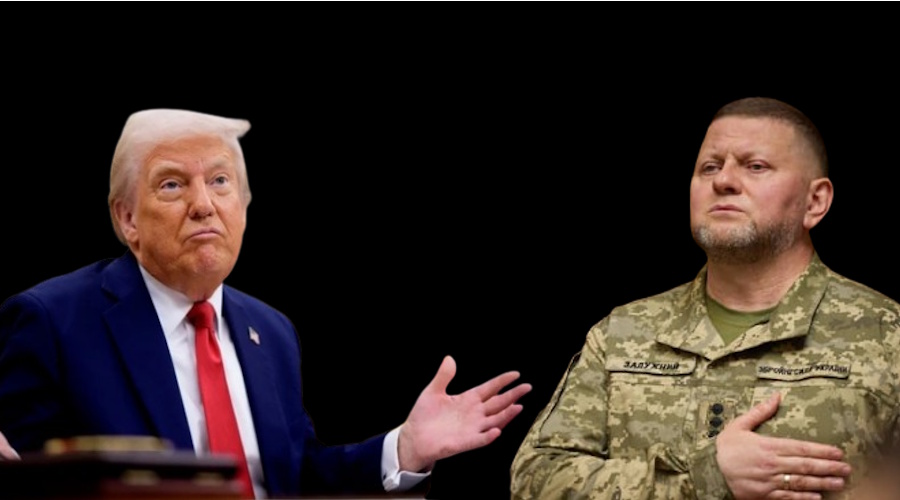 Трамп не Залужный, но Залужный – не Трамп