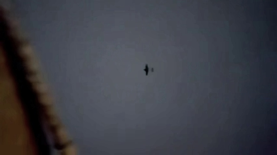 «Враг застрял» в Покровске, зато трамповская стратегия устраивает Москву