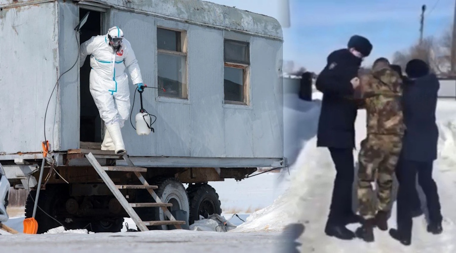 Битва за коров