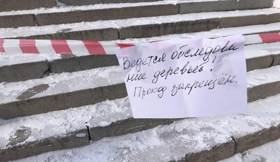 Telegram защитить не дали из-за деревьев