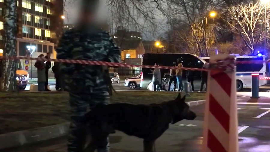 В Москве СВУ-скутер, в Подмосковье пенсионерка со «звёздами»