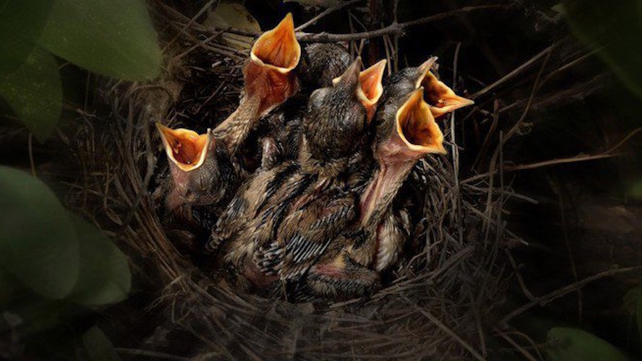 Кремлёвская пропаганда снова прокололась