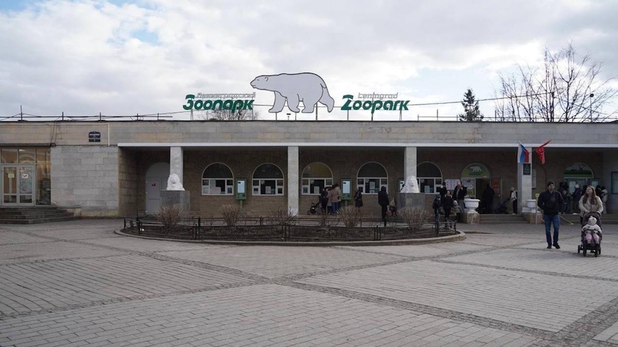 Петербург продолжит мечтать о зоопарке до 2035-го, потом видно будет